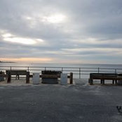 Susan Levanti's photo