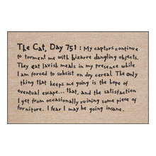 Catherine's ideas