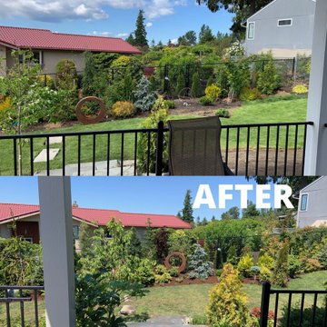 Layered Garden in Steilacoom