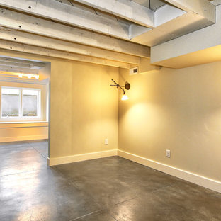 Photo of a small modern basement in Boise with concrete flooring.