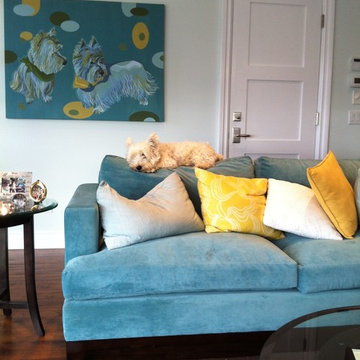 Blue Velvet Sofa with Accent Pillows and Cute Dog Artwork | The Sofa Company