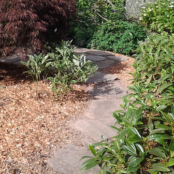 Garden Reclaim - After