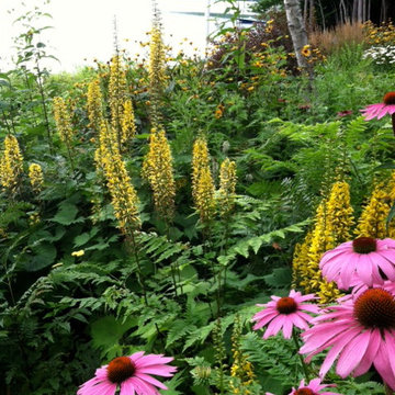 An organized 'wild' garden!