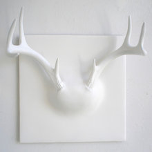 hannah_wardill's ideas