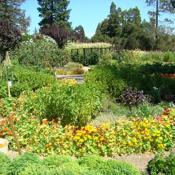 Vegetable gardens