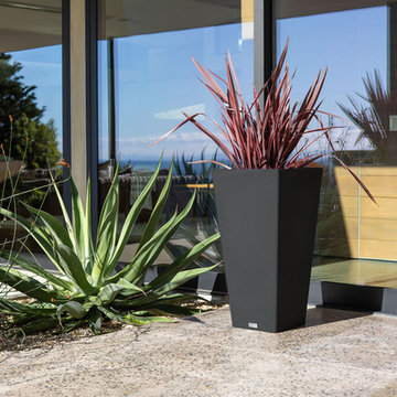 Pure Series - Midland Tall