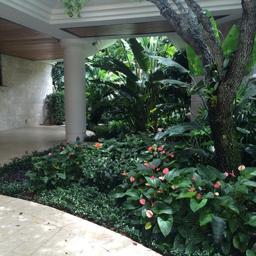 Tropical Landscape