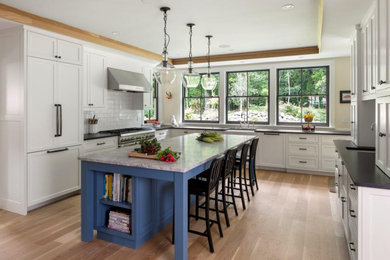 Large transitional u-shaped kitchen photo in Boston with an island