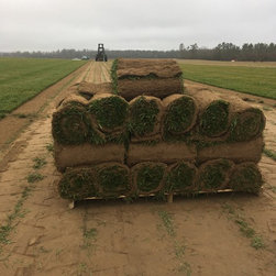 Tall Fescue Harvest - Products