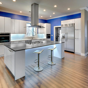 Colfax Contemporary Kitchen . Nar Fine Carpentry . Sacramento . El Dorado Hills