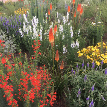 closeup, summer in Meadow Garden, northern Colorado