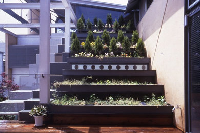 東京都下にあるおしゃれな中庭のテラス (家庭菜園、デッキ材舗装、張り出し屋根) の写真
