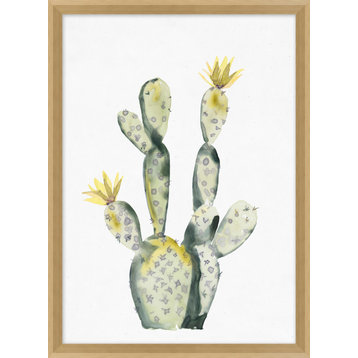 Yellow Blooming Cacti 4