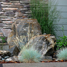 front yard
