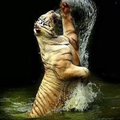 Wael Zein's photo