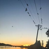 Donna Maree's photo
