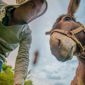 Emanuel Neagu's photo