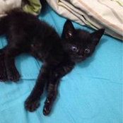 Angel Volynchuk's photo