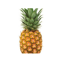 Pineapple Farms Development