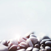 William Blacklock's photo