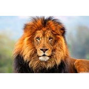 Kathy Crowell's photo