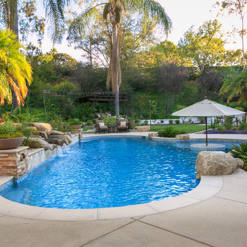 Tropical Oasis