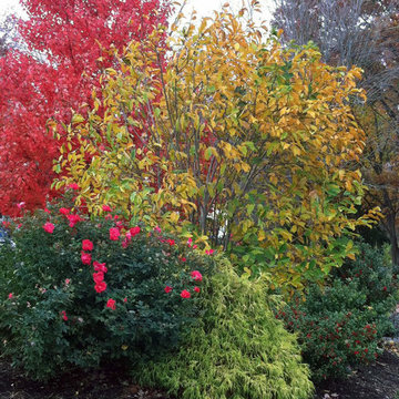 Garden Installations