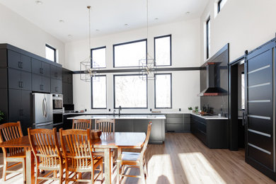 Inspiration for a modern kitchen remodel in Other