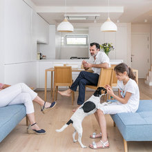Visita privada: Una nueva casa con patio para tener un perro