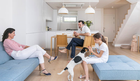 Visita privada: Una nueva casa con patio para tener un perro