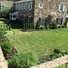Backyard Landscape