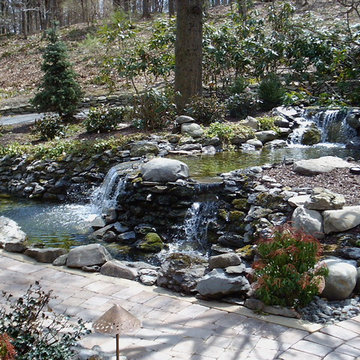 Ponds and water features