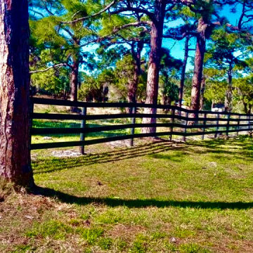 Ranch Fence