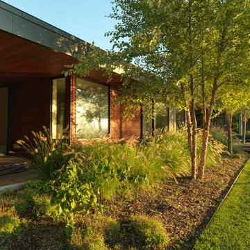 A Modernist Oasis