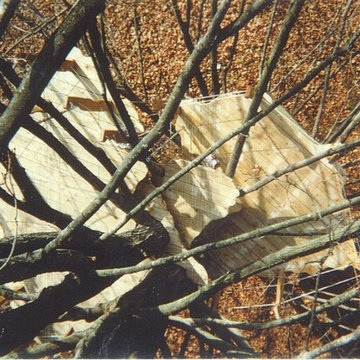 Southport Treehouse