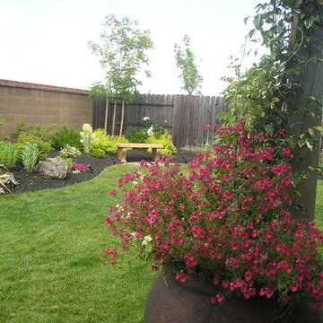 Diascia and bower vine in a pot by patio cover