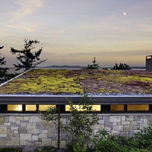Green roof