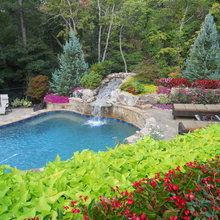 Backyard Landscape