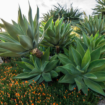 Laguna Beach Residence