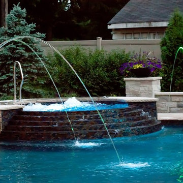 Freeform Pool in Downers Grove, IL