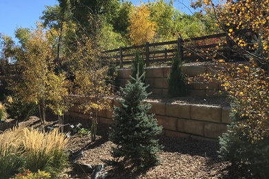Inspiration for a large rustic drought-tolerant backyard landscaping in Denver for summer.