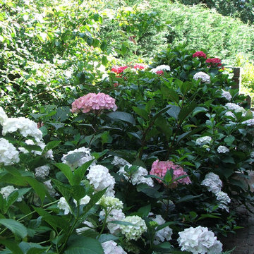 Front Gardens