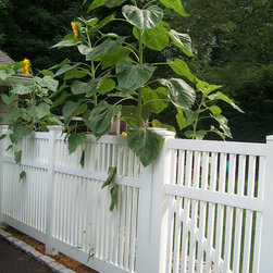 Vinyl Fences - Home Fencing And Gates