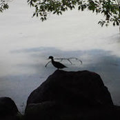 Joshua Powers's photo