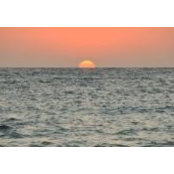 Maria Mastrogianni's photo
