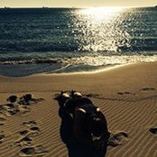Krisanne Alman-Afzan's photo