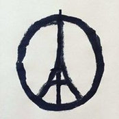 Dani Scher's photo