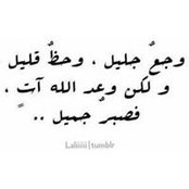 Passant Almasry's photo