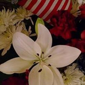 Kelly Aldrich-Sullivan's photo