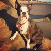 Patrick Marston's photo